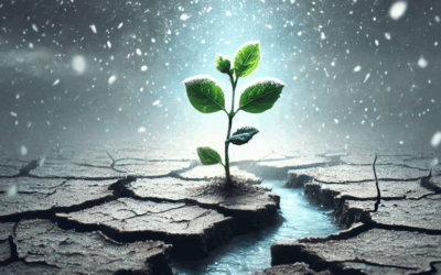 “Purpose Through Pain”: New Book Shares Powerful Story of Healing and Hope